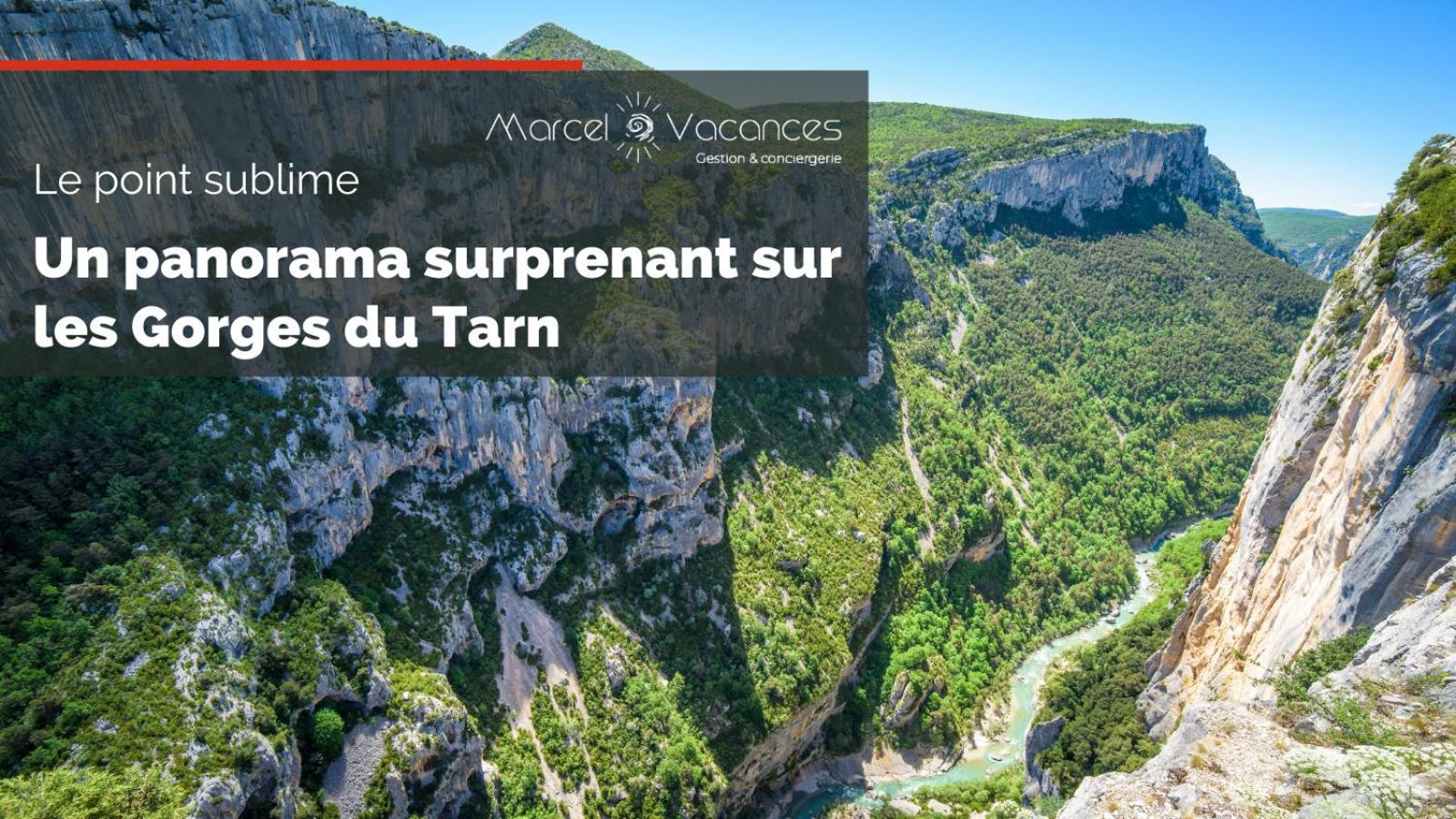 Gorges Du Tarn Gite En Pierres Avec Terrasse Quezac  Eksteriør billede
