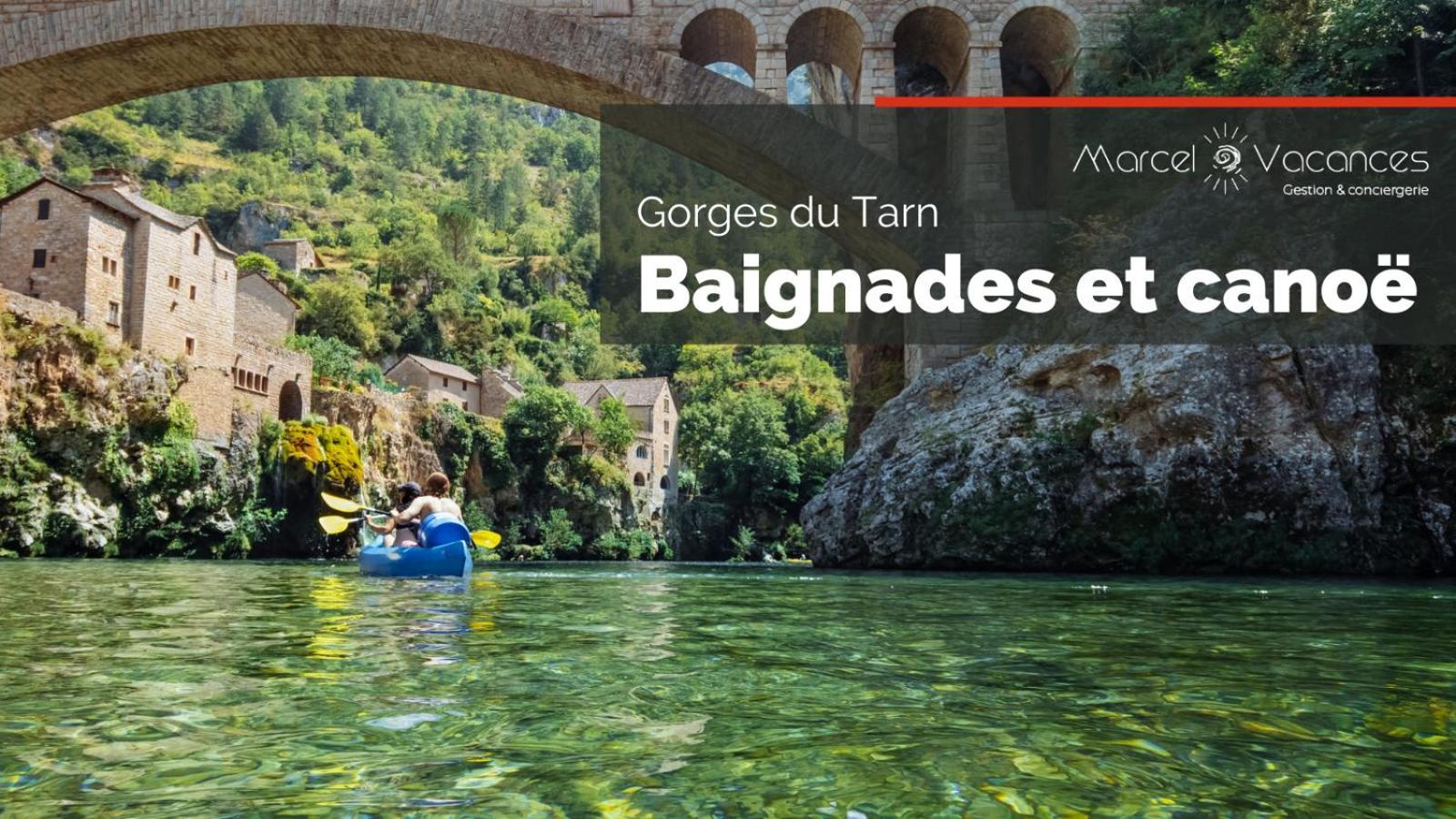 Gorges Du Tarn Gite En Pierres Avec Terrasse Quezac  Eksteriør billede